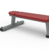 Banco Plano para Gimnasio Fitness Culturismo