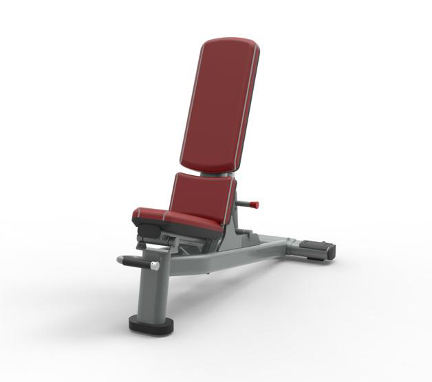 Banco de Acero Ajustable para ejercicios Brazos Gimnasio Pro